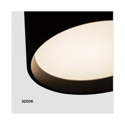25216 CEILING LED LIGHT 12W 2700K-3200K-4000K DALI, SANDY BLACK Zambelis Lights